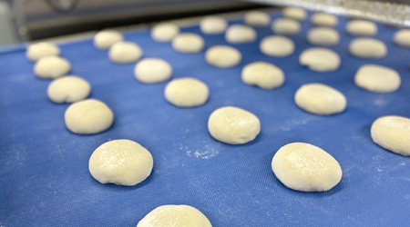 WP Kemper dough strip line & roll line PANE KOMBI 6 rows